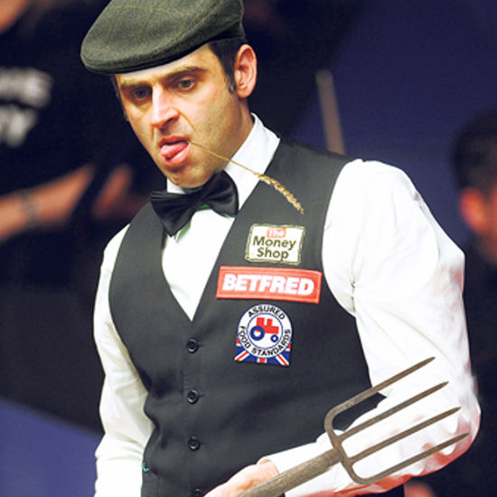 的举办可谓 的举办可谓